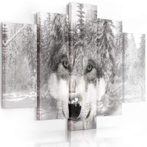 Obraz na plátně pětidílný Wolf Forest Animal Grey - 150x100 cm