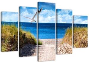 Obraz na plátně pětidílný Krajina Mořská pláž Tráva - 100x70 cm