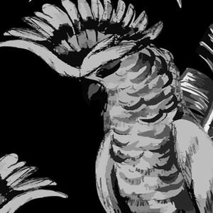Ozdobný paraván Ptáci černá - 180x170 cm, päťdielny, klasický paraván