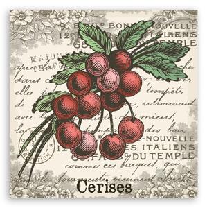 Obraz na plátně, Vintage Cherry - 30x30 cm