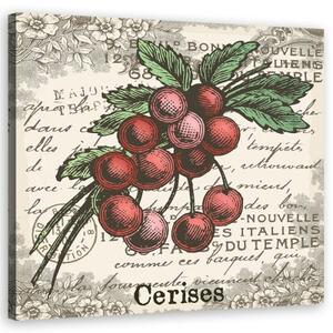 Obraz na plátně, Vintage Cherry - 40x40 cm
