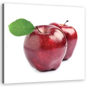 Obraz na plátně, Apple ovoce - 40x40 cm