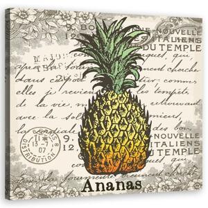 Obraz na plátně, Vintage ananas - 40x40 cm