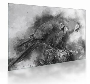 Sklenený obraz - Akvareloví papagáje (70x50 cm)