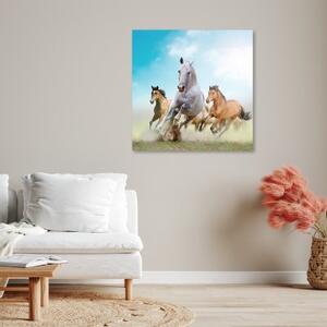 Obraz na plátně, Cválající koně - 30x30 cm