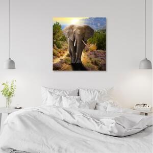 Obraz na plátně, Slon při západu slunce - 30x30 cm