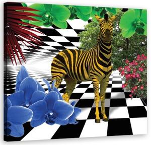 Obraz na plátně, Barevná zvířata přírody Zebra - 30x30 cm