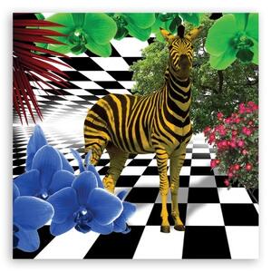 Obraz na plátně, Barevná zvířata přírody Zebra - 30x30 cm