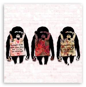Obraz na plátně, Banksy se směje opice - 30x30 cm