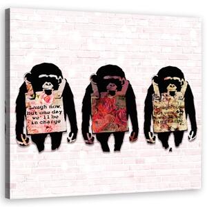 Obraz na plátně, Banksy se směje opice - 40x40 cm