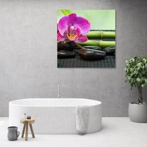 Obraz na plátně, Orchidej na černých kamenech - 30x30 cm