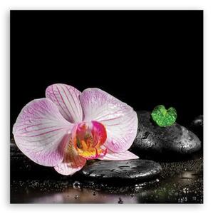 Obraz na plátně, Kvetoucí orchidej zen - 30x30 cm