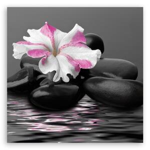 Obraz na plátně, Kameny růžové květ zen - 30x30 cm
