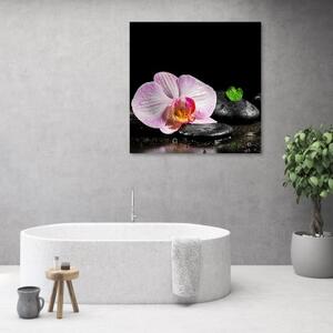 Obraz na plátně, Kvetoucí orchidej zen - 30x30 cm