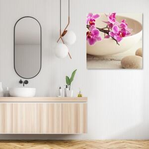 Obraz na plátně, Růžové orchideje v misce - 30x30 cm