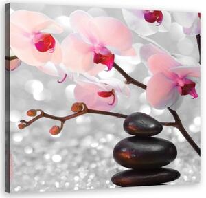 Obraz na plátně, Zen Stones a větvička orchideje - 40x40 cm