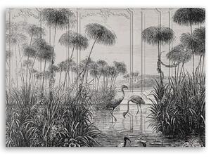 Obraz na plátně, Ptáci v rybníku - 60x40 cm