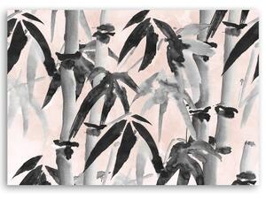 Obraz na plátně, Bambusový les - 60x40 cm