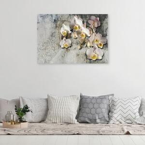 Obraz na plátně, Slunečné orchideje - 60x40 cm
