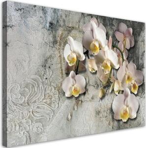Obraz na plátně, Slunečné orchideje - 100x70 cm