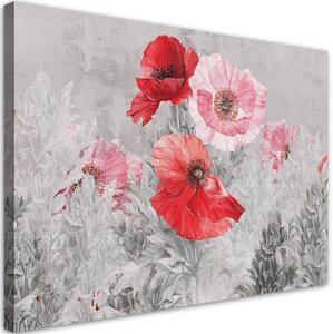 Obraz na plátně, Červené máky na šedé louce - 90x60 cm