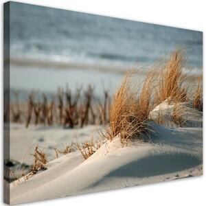 Obraz na plátně, Dunes u moře - 90x60 cm