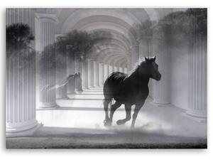 Obraz na plátně, Běh 3D koně - 60x40 cm
