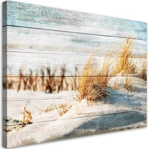 Obraz na plátně, Dune pláž na dřevě - 100x70 cm