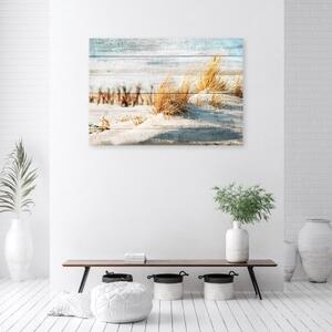 Obraz na plátně, Dune pláž na dřevě - 60x40 cm