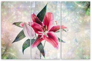Obraz na plátně třídílný, Pink Lily - 60x40 cm