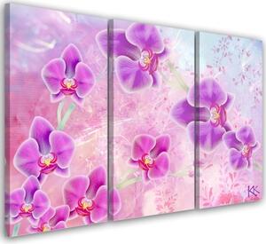 Obraz na plátně třídílný, Abstrakce orchidejí - 150x100 cm