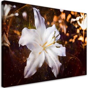 Obraz na plátně, Bílá Lily na hnědém pozadí - 120x80 cm