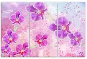 Obraz na plátně třídílný, Abstrakce orchidejí - 60x40 cm