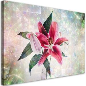 Obraz na plátně, Pink Lily - 100x70 cm