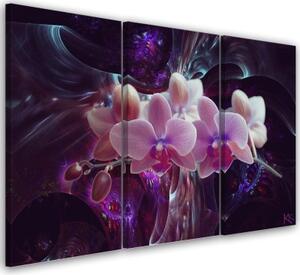 Obraz na plátně třídílný, Bílá orchidej na tmavém pozadí - 120x80 cm