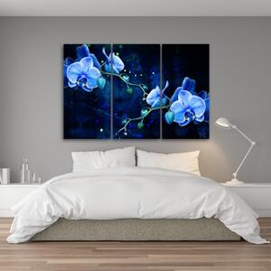Obraz na plátně třídílný, Modrý orchidej - 60x40 cm