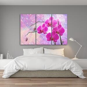 Obraz na plátně třídílný, Základní abstrakce orchidejí - 60x40 cm
