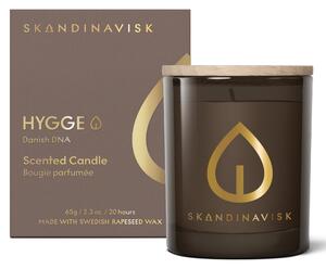 Vonná svíčka ve skle HYGGE Gold (útulno) 65 – speciální edice g
