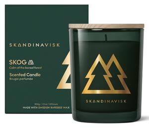 Vonná svíčka ve skle SKOG Gold (les) 200 g – speciální edice