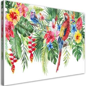 Obraz na plátně, Listy tropických květin papouška - 100x70 cm