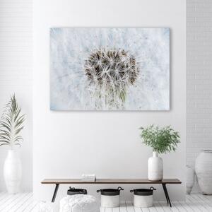 Obraz na plátně, Bílý květinový pampelišk - 60x40 cm