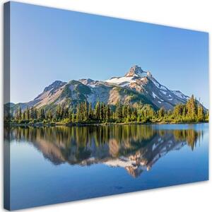 Obraz na plátně, Krajina lesního horského jezera - 100x70 cm