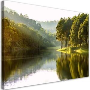 Obraz na plátně, Příroda lesního stromu krajiny - 120x80 cm