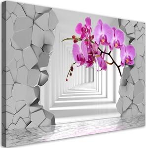 Obraz na plátně, Orchidej na abstraktním 3D pozadí - 100x70 cm