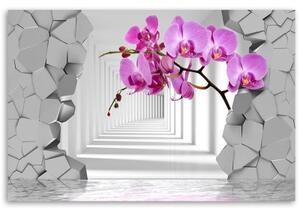 Obraz na plátně, Orchidej na abstraktním 3D pozadí - 60x40 cm