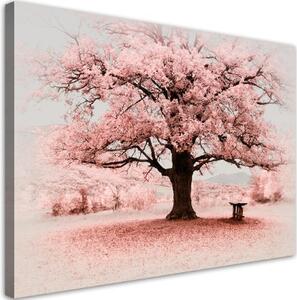 Obraz na plátně, Příroda abstrakce růžového stromu - 60x40 cm