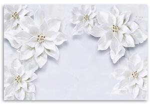 Obraz na plátně, Zasněžené bílé květy rostliny - 60x40 cm
