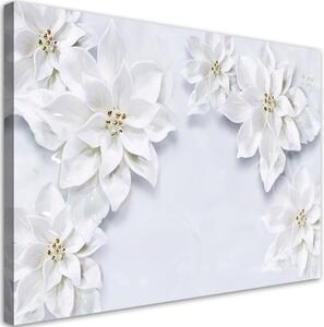 Obraz na plátně, Zasněžené bílé květy rostliny - 120x80 cm