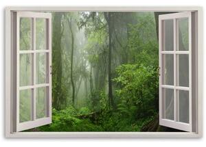 Obraz na plátně, Tropické okno lesa džungle - 60x40 cm