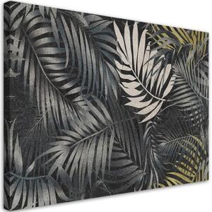 Obraz na plátně, Tmavé tropické listy příroda - 60x40 cm